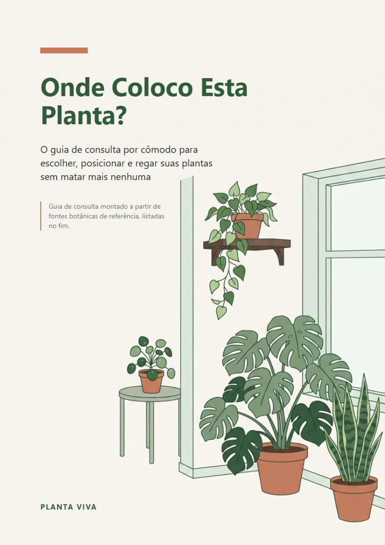 Onde coloco esta planta?